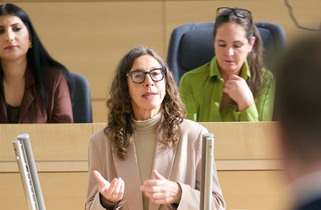 Meine Rede zur Reform des Denkmalschutzgesetzes
