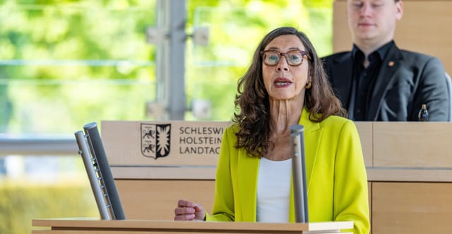 Meine Rede zur Sicherung der öffentlichen Theater